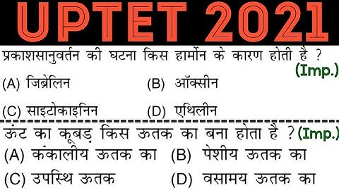UPTET 2021 || Junior Super TET EVS Most Important Questions || UPSI POLICE