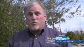Technicians Begin Spraying Pesticide in Santa Barbara County