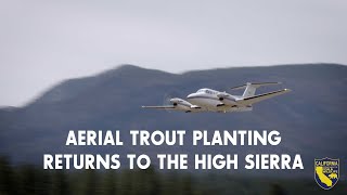 Aerial Trout Planting Returns to the High Sierra
