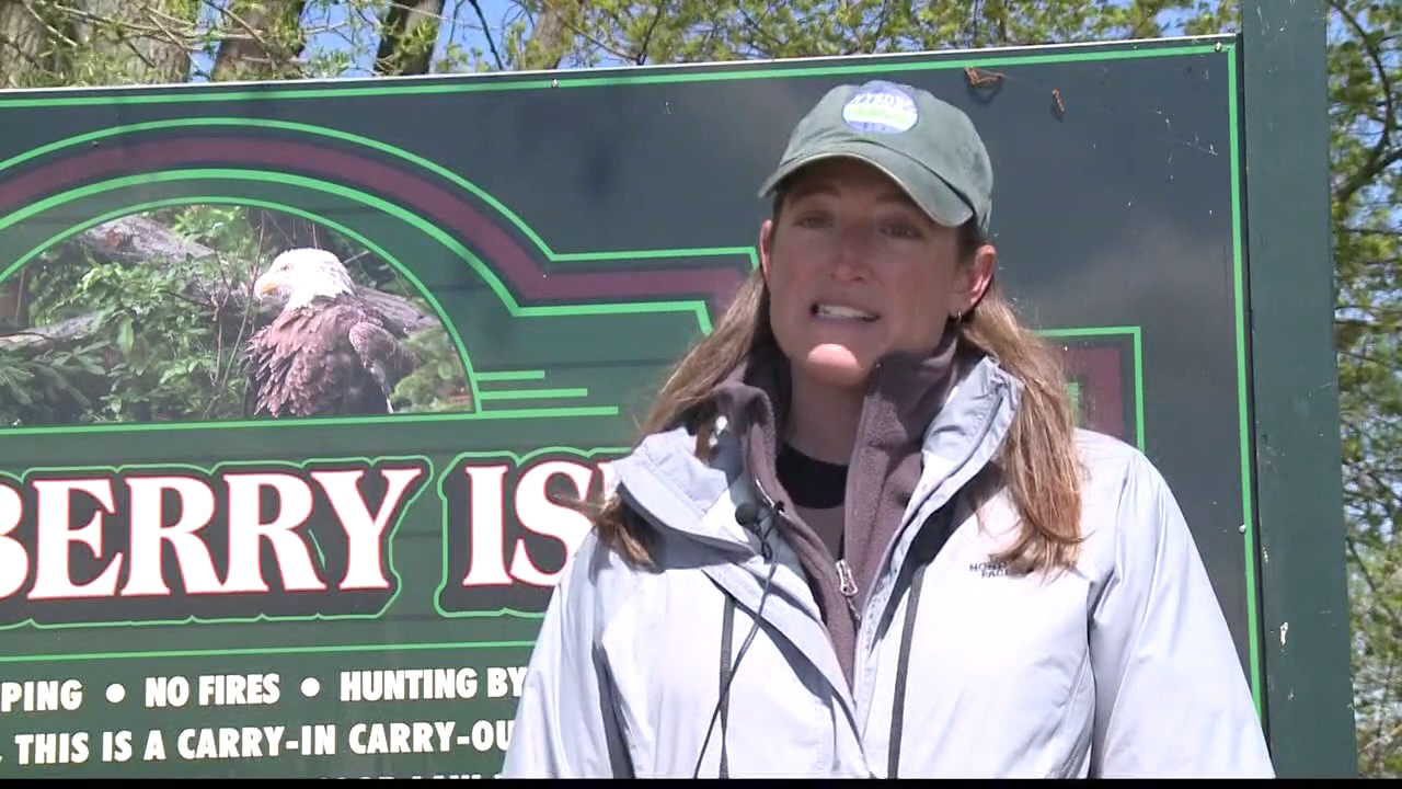 The Eagles of Strawberry Island