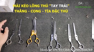 Mài kéo lông thú tay trái Chonry, Queen pet..(mài kéo tỉa, kéo cong tay trái)_Thực tế 100%