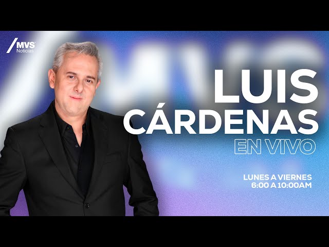 Luis Cárdenas | 8 de Mayo class=