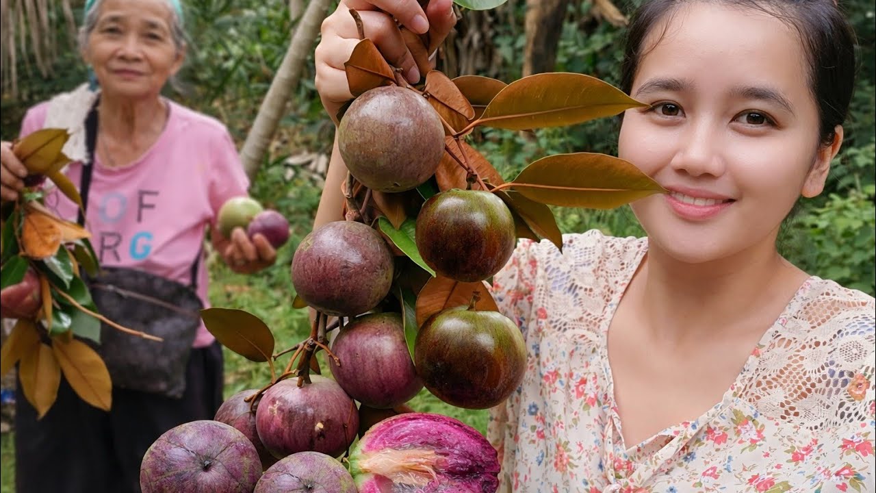 NAMITAS NG SWEET STAR APPLE 