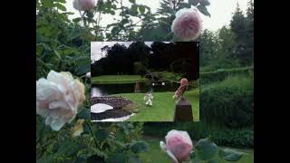;♡;Heavenly forests;♡;Subliminal @liltozier8060