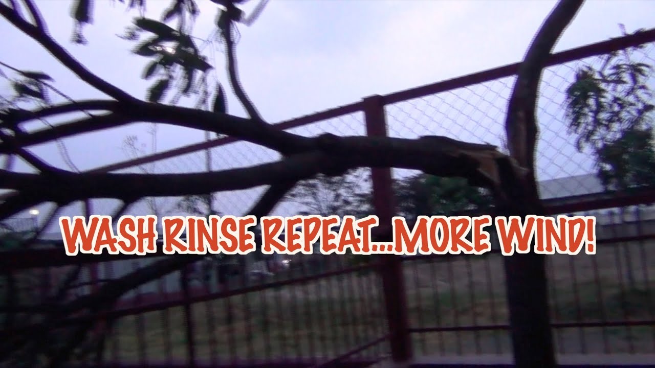 Wash Rinse Repeat...More Wind! - YouTube
