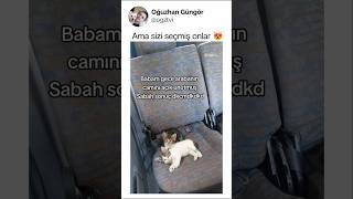 Ama Sizi Seçmiş Onlar