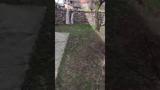 Nlt Zita I Zoli Trag Zeca3,5Mes..