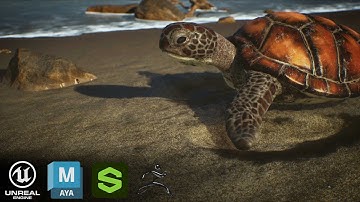 Sea Turtle Lookdev & Lighting – Unreal Engine 5.4 Cinematic