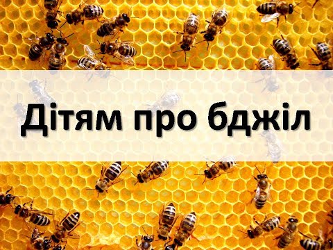 Дітям про бджол