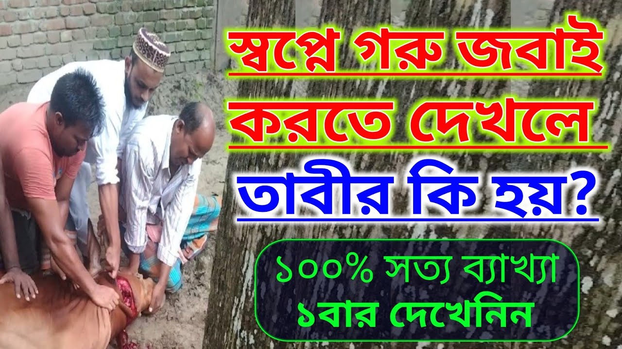 স্বপ্নে গরু জবাই করতে দেখলে তাবীর কি হয়? || ১০০% সত্য ব্যাখ্যা || হাফেজ বাহাউদ্দিন আলিফ || গরু দেখা🐄