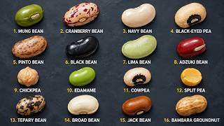 Every Bean Explained: Which Ones Can Poison You, Feed Nations, and Change the Way You Eat Forever