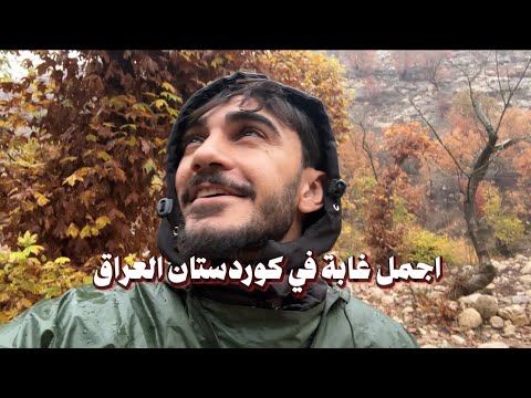 اجمل غابة في كوردستان العراق ❤️ اني محمد مهدي وراح تشوفون العراق مثل ما يشوفه عيوني ✅