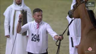 N 294 Jana Al Ghaniyyah Qa 13Th Qatar National Ahs For Individual Owners 2025 Mares 4 6 Years Ol