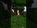 Turn Minecraft Pocket Edition Into Java Edition !!