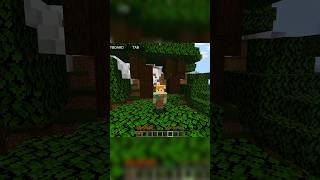 Turn Minecraft Pocket Edition Into Java Edition !!