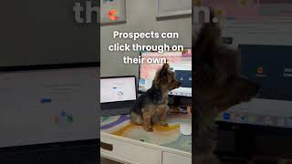Meet Henry, Our Summer “Intern” | Self-Guided Demo Automation for Events