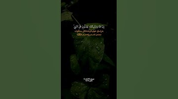 #سورة_الاحزاب #قاری #احمد_العجمي  #المصحف 🤍