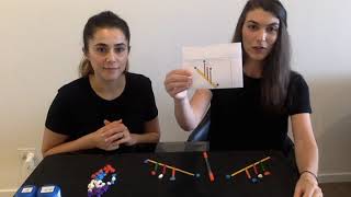 Flip, Slide, Turn Transformations