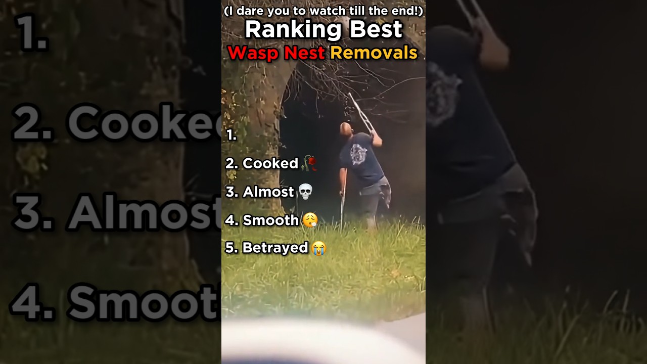 Ranking The BEST Wasp Nest Removals 😂