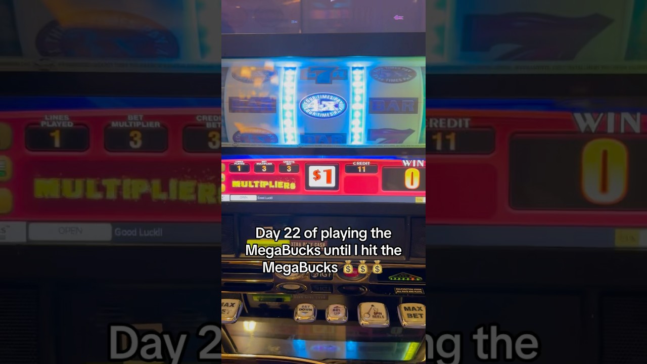 Day 22 of playing the MegaBucks until I hit the MegaBucks. Winner! 