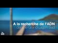 Projet adne grand lagon sud reportage province sud