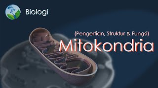 What are Mitochondria