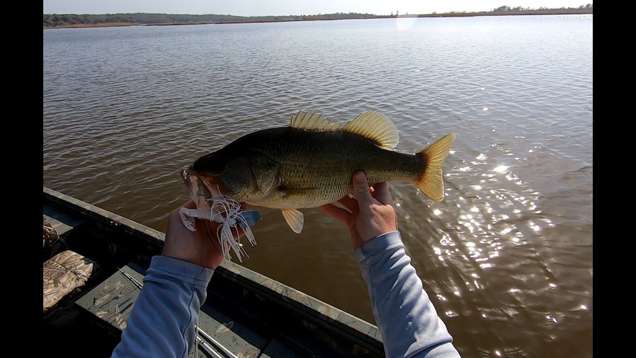 Post Spawn Bass Fishing in the Tensaw Delta