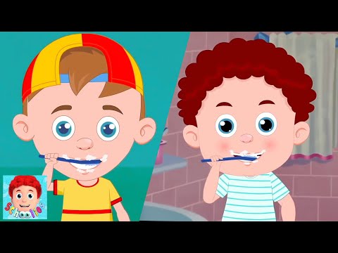 Ceci Est le Chemin + Plus Schoolies Dessins Animés Vidéos et Comptines en Française