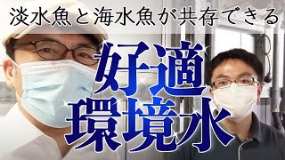 山の中でウナギが２万匹！水産物から国力に寄与。淡水魚でも海水魚でも共存できる「好適環境水」│上念司チャンネル ニュースの虎側