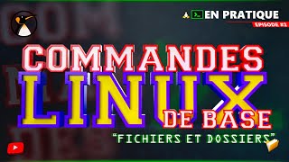 Commandes Linux de Base - Chapitre 2.1 : Ecrire et Afficher des fichiers Net Worth