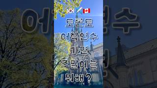 토론토에서 주말에 가볼만한 곳 추천!! #토론토 #toronto #canada #캐나다 #subscribe #shorts #shortvideo #fyp  #foryou #캐나다여행