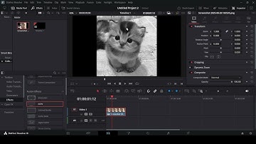 How to turn a clip to black and white in Davinci Resolve