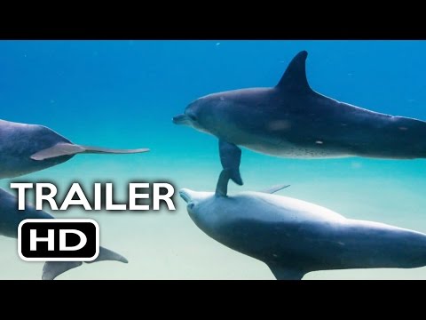 disneynature's-dolphins-official-trailer-#1-(2017)-documentary-movie-hd