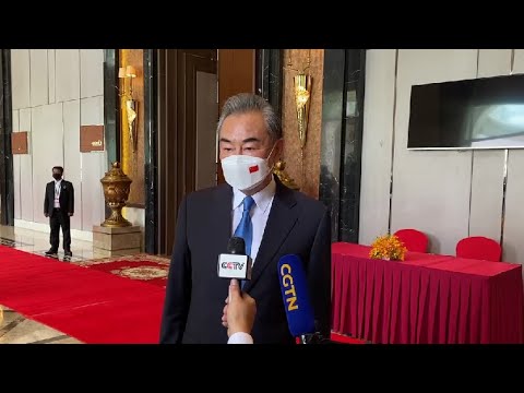 Video Wang Yi says those who offend China will be punished - youtube