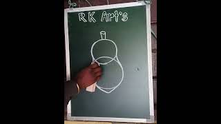 How To Draw A Papaya Easily Using Circle Rk Art S Raja 