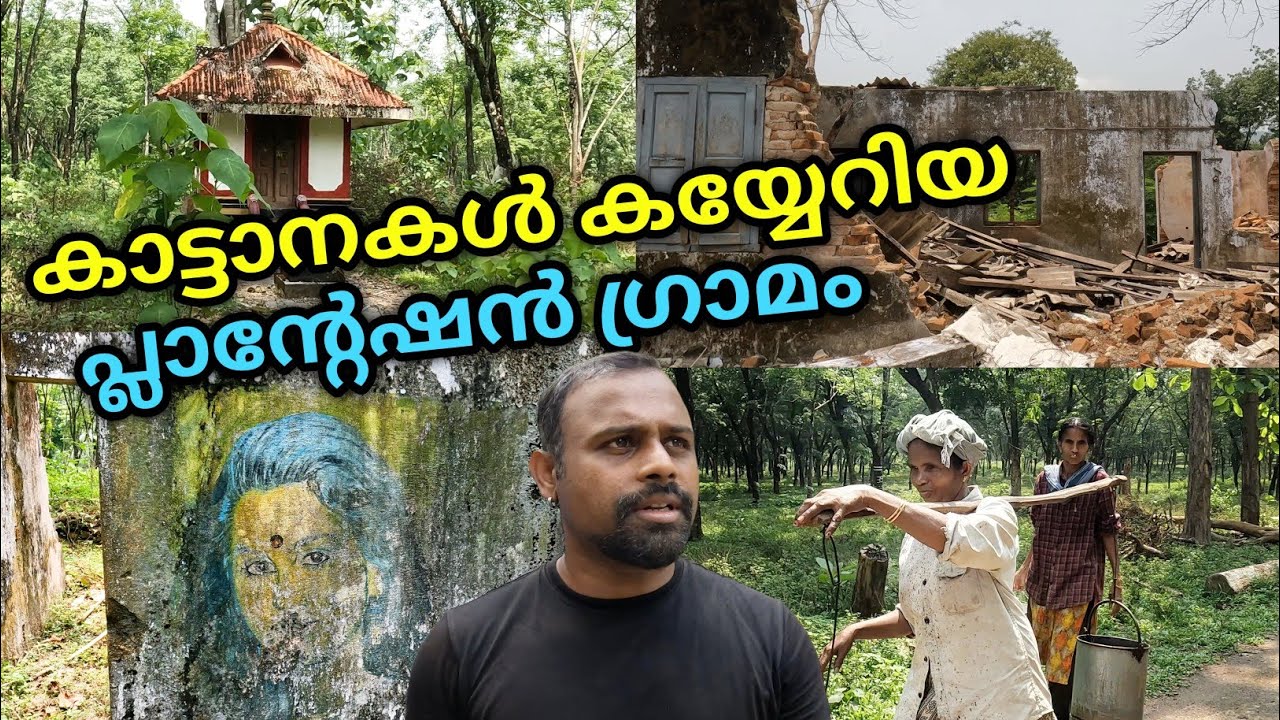 ആനപ്പേടിയിൽ ജീവിതം തള്ളി നീക്കുന്ന ഗ്രാമീണർ | Kerala Village Life | Kalady Plantation