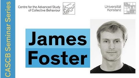 James Foster - The Honeybee’s Polarization Compass-Dance Away the Indecision
