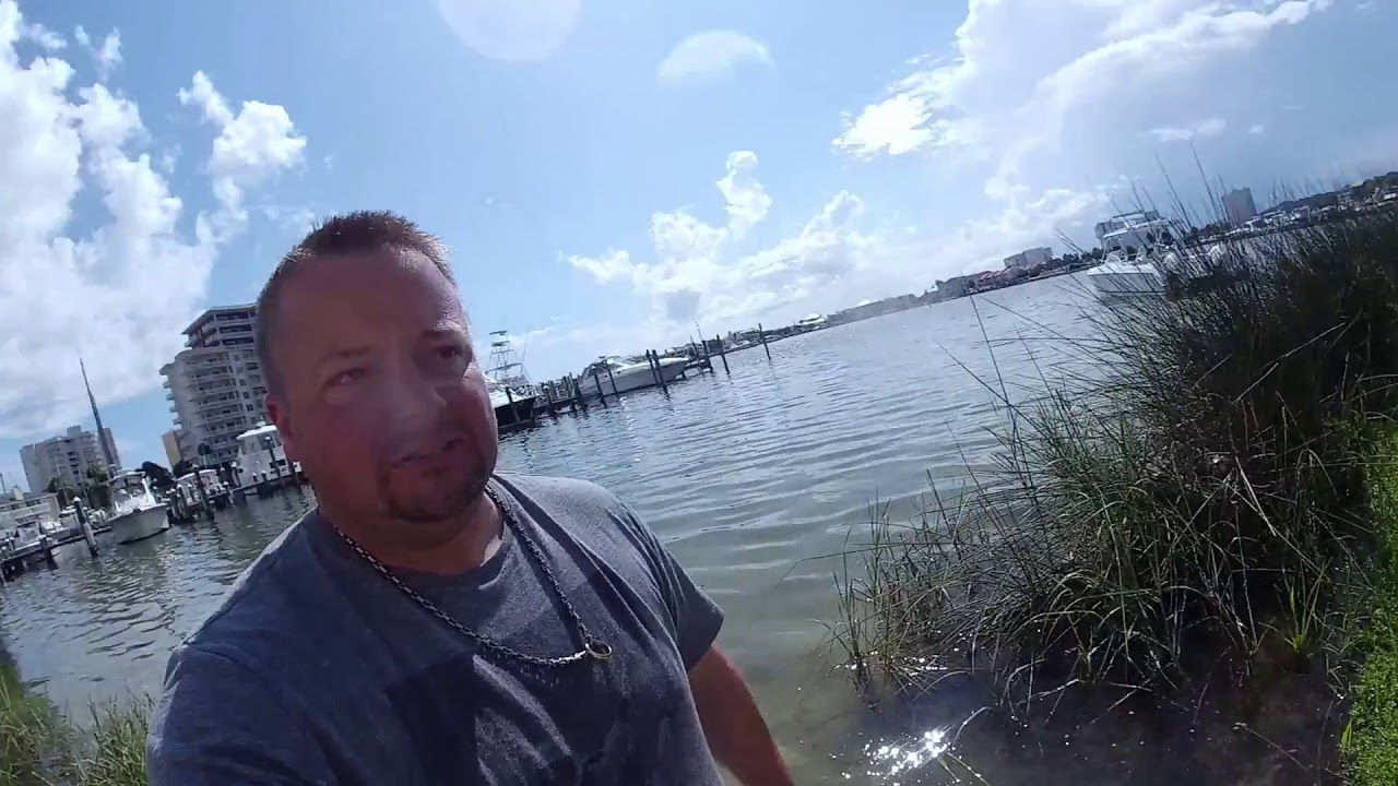 Catching Crabs, And Live Bait in Destin FL YouTube