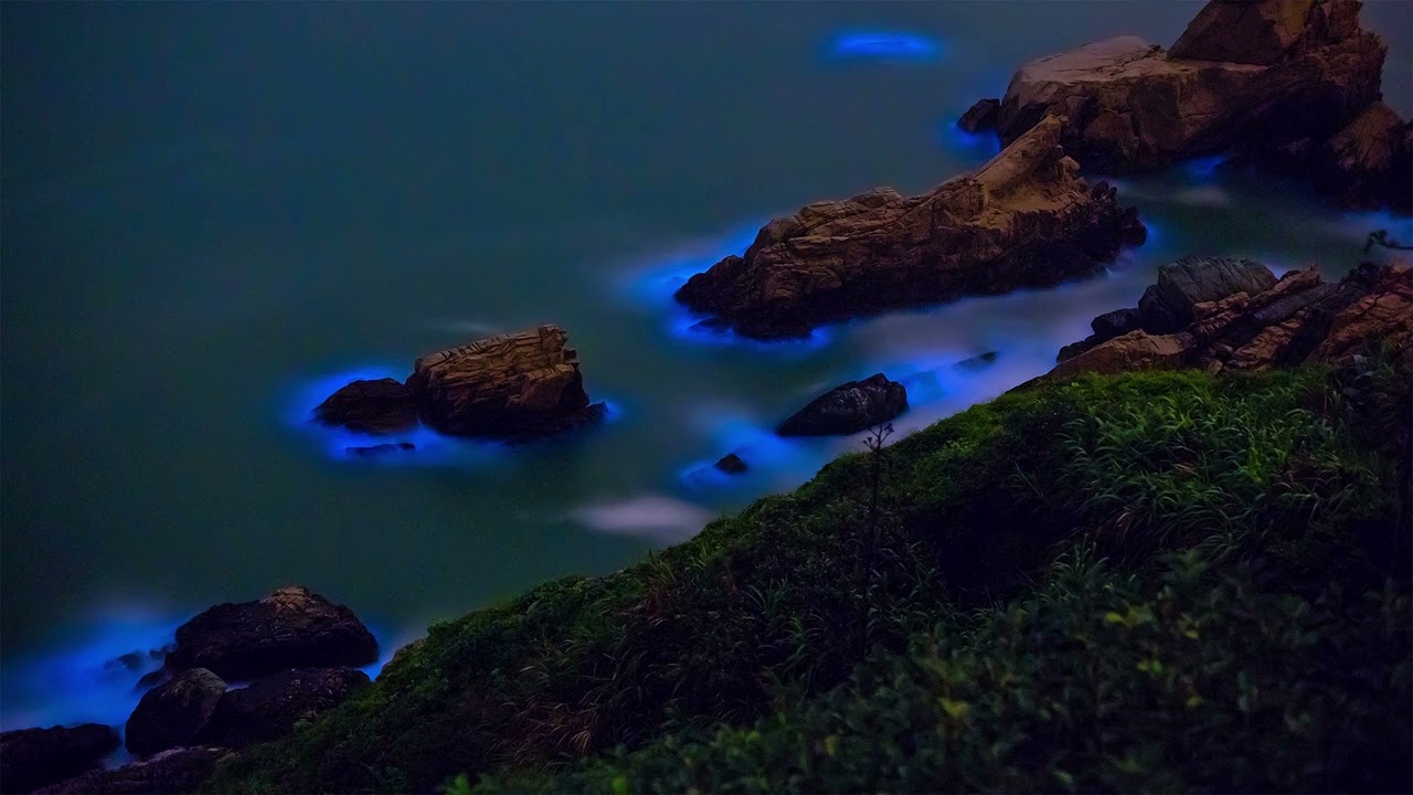 James Horner - The bioluminescence of the night (Slowed + reverb)