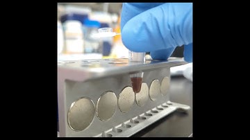 DNA Purification on Magnetic Beads | Salk Institute Research