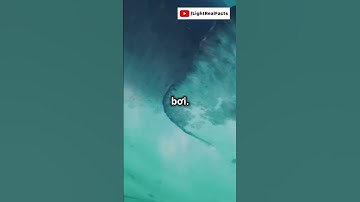 Liệu cá mập có thể ngủ khi đang bơi? #shorts #facts #suthat #xuhuong