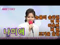 나미애 눈물의 승차권 역마 아모르 비원 뜨거운 안녕 나미애 눈물의 승차권 역마 아모르 비원 뜨거운 안녕
