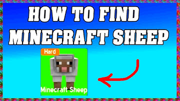 How To Find MINECRAFT SHEEP in FIND THE SHEEP ROBLOX 🐑