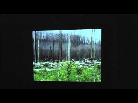 Our Disappearing Forests: Healesville Public Meeti...