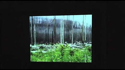 Our Disappearing Forests: Healesville Public Meeti...
