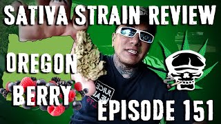 Sativa Strain Review- Oregon Berry