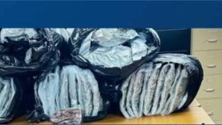 DPS K9 finds 133 pounds of marijuana during traffic stop