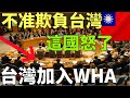 中共太欺負台灣！這國怒挺 台灣加入WHA 外國人看台灣2024