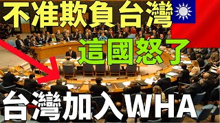 中共太欺負台灣！這國怒挺 台灣加入WHA 外國人看台灣2024