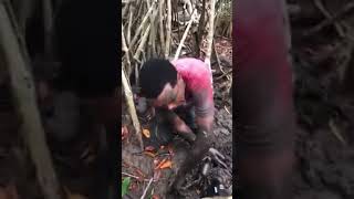 El Cazador Siendo Cazado